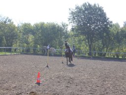 img_0238_web